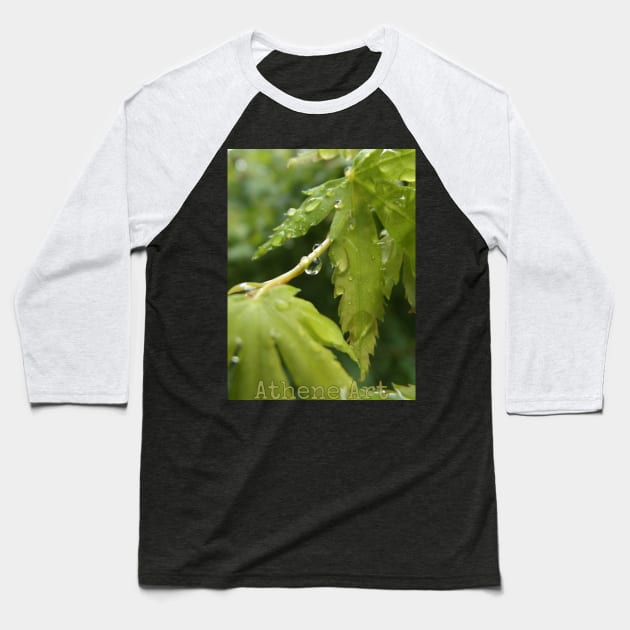 Raindrops on Leaves Baseball T-Shirt by Athene Art